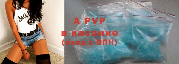 стафф Арсеньев