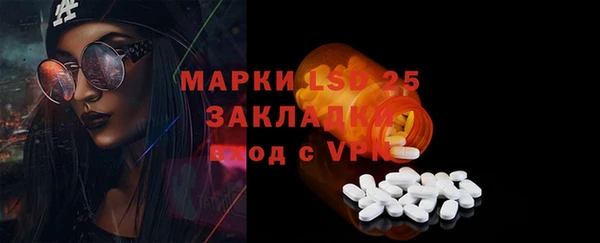 стафф Арсеньев