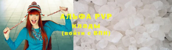 стафф Арсеньев