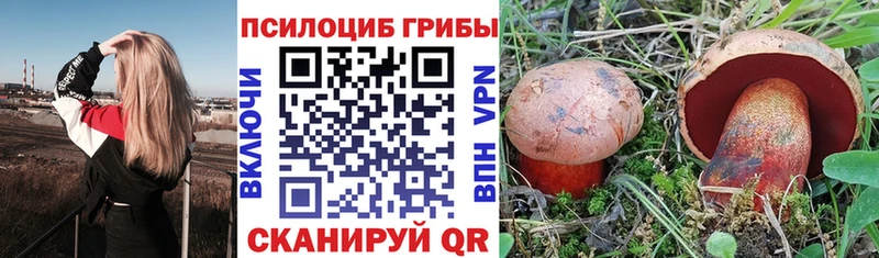 Галлюциногенные грибы Psilocybe  наркота  kraken маркетплейс  Кирово-Чепецк 